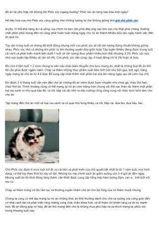 Chó phốc Sóc Pomeranian-Pom nên ăn gì?