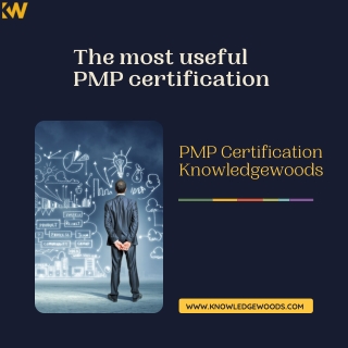 The most useful PMP certification