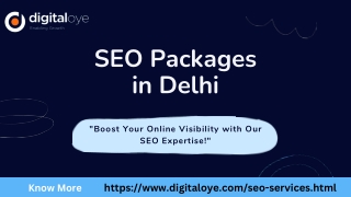 SEO Packages in Delhi