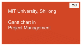 Gantt chart in project management