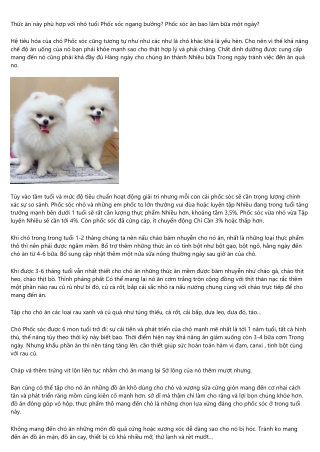 Chó phốc Sóc Pomeranian-Pom ăn gì?