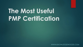 The Most Useful PMP Certification1234