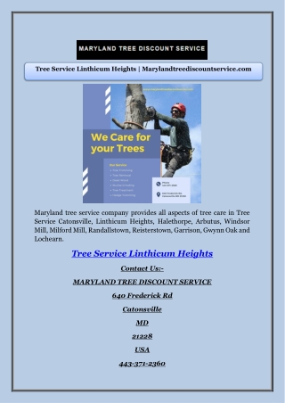 Tree Service Linthicum Heights | Marylandtreediscountservice.com