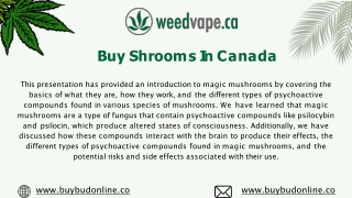 Buy Shrooms In Canada - Weedvape