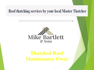 Thatched Roof Maintenance Ower