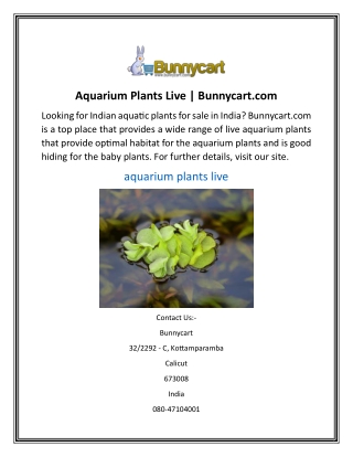 Aquarium Plants Live  Bunnycart.com