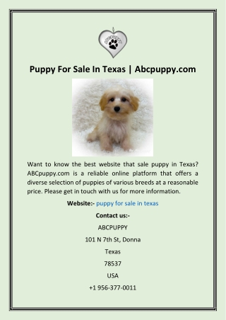 Puppy For Sale In Texas  Abcpuppy