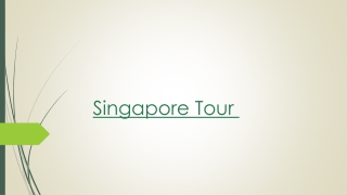 Explore the Variety of Choices For Your Perfect Singapore