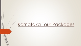 Enjoy the Incredible Deals & Offers on the Your Karnataka Packages