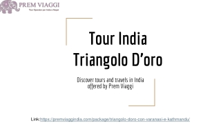 Tour India Triangolo D’oro