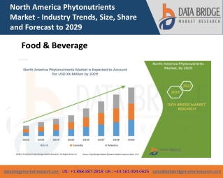 North America Phytonutrients Market