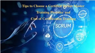 Scrum Master Trainers