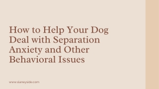 How to Help Your Dog Deal with Separation Anxiety and Other Behavioral Issues - Slaneyside Kennels