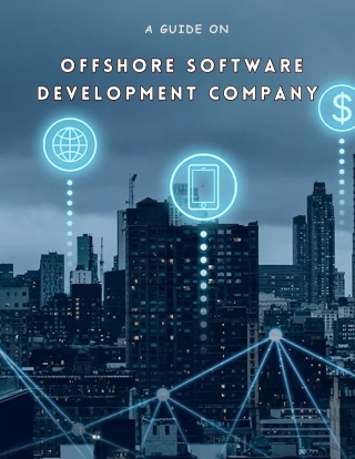 Offshore Software Development Company