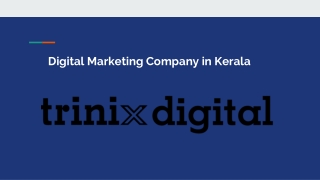 Best Digital Marketing Companies in Kerala