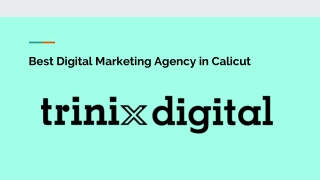Top Digital Marketing Agencies in Calicut, Kozhikode