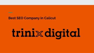 Top SEO Companies in Calicut | SEO Services in Calicut