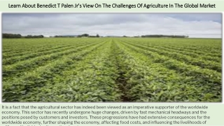 Learn About Benedict T Palen Jr's View On The Challenges Of Agriculture In The G