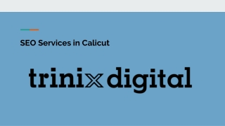 Best SEO Services in Calicut, Kozhikode - Trinix Digital