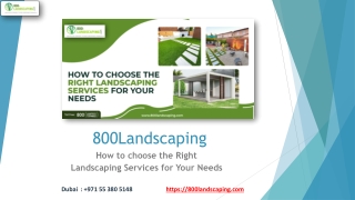 How to choose the Right Landscaping Services for Your Needs