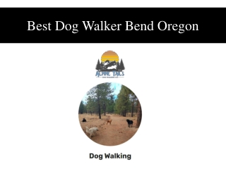 Best Dog Walker Bend Oregon