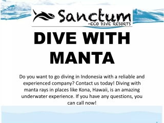 DIVE WITH MANTA