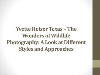 Yvette Heiser Texas – The Wonders of Wildlife Photography A Look at Different Styles and Approaches