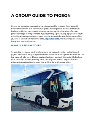 A GROUP GUIDE TO PIGEON