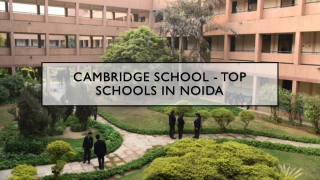 Top Schools in Noida