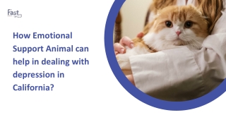 How Emotional Support Animal can help in dealing with depression in California?