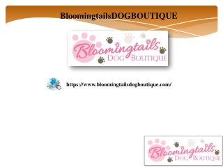 Little Dog Hair Bow, bloomingtailsdogboutique