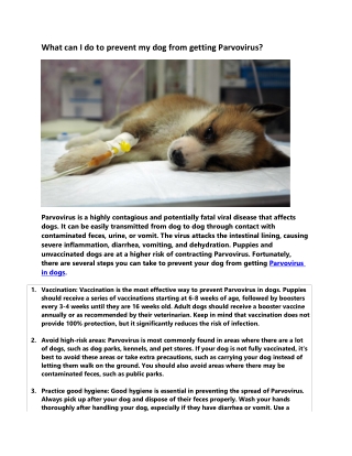 What can I do to prevent my dog from getting Parvovirus?
