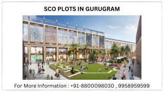 SCO Plots in Gurgaon By Adani, SCO Plots in Gurgaon minimum Investment, 88000980