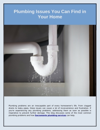 Plumbing Issues You Can Find in Your Home