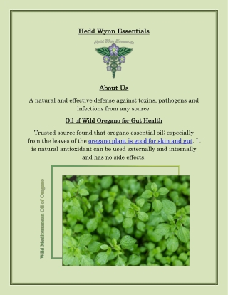 Oregano Oil for Gut Health