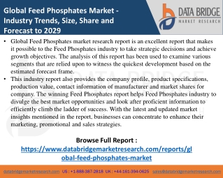 Pet Food Additives Market- Agricultural & Animal feed