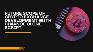 Future Scope Of Crypto Exchange Development With Binance Clone Script