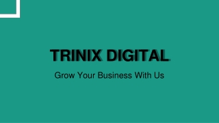 TRINIX DIGITAL | Digital Marketing Company in Kerala