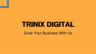 TRINIX DIGITAL | Best Digital Marketing Agency in Calicut