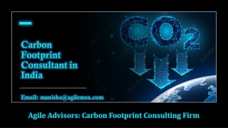 Agile Advisors, Carbon Footprint Consulting Firm