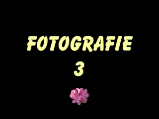 Fotografie (Yveta) 3