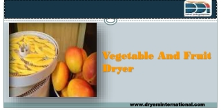 Vegetable And Fruit Dryer