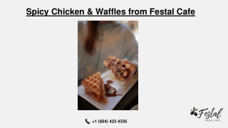 Spicy Chicken and Waffles from Festal Cafe