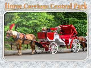 Horse Carriage Central Park