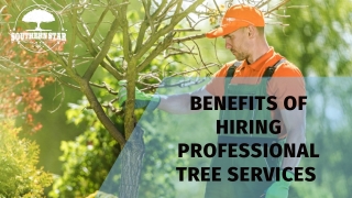 Benefits of Hiring Professional Tree Services