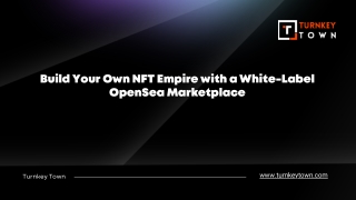 Build Your Own NFT Empire with a White-Label OpenSea Marketplace