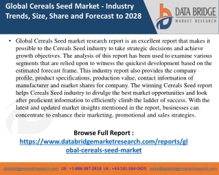 Cereals Seed Market- Agricultural & Animal feed