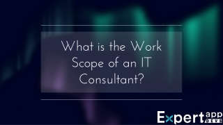 What is the Work Scope of an IT Consultant?