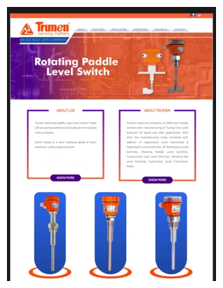 Rotating Paddle Level Switch