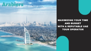 Maximizing Your Time and Budget with a Reputable UAE Tour Operator